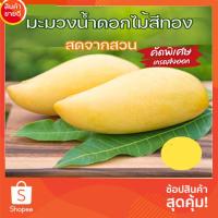 ราคา มะม่วงน้ำดอกไม้สีทอง นอก ฤดู 1 กิโล สดจากสวน หอมหวาน คัดพิเศษ เกรด พรีเมียม ส่งออกนอก (23324769558)