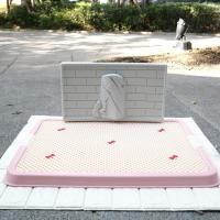 ราคา ถาดห้องน้ำสุนัขตั้งฉาก ขนาด 45x60 cm (11432245065)