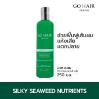 ราคา Go Hair Silky Seaweed Nutrients ขวดเขียว 250ml. (18058667463)