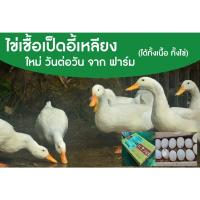ราคา ไข่เชื้อ เป็ดอี้เหลียง ไข่นำไปฟัก เป็ดเนื้อ ไข่เป็ด (15947014008)