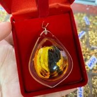 ราคา จี้พญาเล็บครุฑ พญาเล็บครุฑตัวผู้-ตัวเมีย ในน้ำมันจันทร์หอม (1ชิ้น) (5434447253)