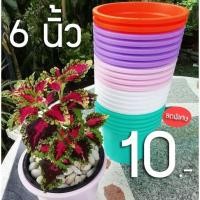ราคา กระถางต้นไม้ สีขาว 6 นิ้ว ลดพิเศษเหลือ 10 บาท ( 7 วันเท่านั้น ) ( ขั้นต่ำ 5 ใบ ) (6034718275)