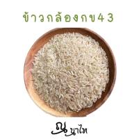 ราคา ข้าวดัชนีน้ำตาลต่ำ กข43 มีทั้ง ข้าวกล้อง และข้าวขาว (12612518968)