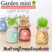 ราคา พร้อมส่ง garden mini ต้นไม้จิ๋ว ชุดปลูกต้นไม้จิ๋ว DIY ขวดปลูกต้นไม้จิ๋วไม้ (4781496511)