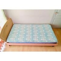 ราคา ผ้าปูรองนอน (แบบหนา) ขนาด 3.5ฟุต สีฟ้าลายปลาญี่ปุ่น ยี่ห้อ Ebline (ใหม่) มือสองสภาพดี สินค้าญี่ปุ่น-เกาหลีแท้ (20685278504)
