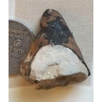 ราคา พระศกกันหอยลงรักปิดทอง หลวงพ่อโหน่งวัดคลองมะดันสุพรรณบุรีสวยหายาก (22246002840)