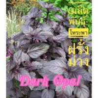 ราคา เมล็ดพันธุ์ โหระพาฝรั่ง ม่วง Dark Opal 10เมล็ด (6187992575)