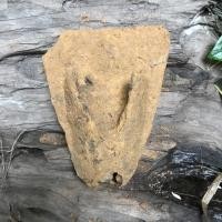 ราคา ผานไถโบราณ สบไถ ใบผาลมือสอง สบไถนา ผาลไถมือสอง ไถนาโบราณ วัตถุอาถรรพ์ เครื่องรางของขลัง ผาลเก่า สบไถเก่า ของเก่า ของสะสม (17262053723)