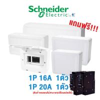 ราคา Schneider ตู้ คอนซูเมอร์ยูนิตสแควร์ดี รุ่น SDEL 4 , 6 , 10 , 14 , 18 ช่อง ฝาทึบ Consumer Unit Square D (ตู้เปล่า) (16642759479)