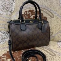 ราคา Coach หมอน 9 นิ้ว (1850624229)