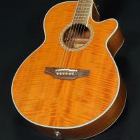 ราคา Takamine 121C VN มือสองสภาพ B+ พร้อม Original soft case (18764371153)