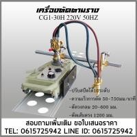 ราคา เต่าตัดตามราง เต่าเดินตามราง CG1-30H 220V (21245931954)