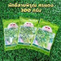 ราคา ผักชีสายพิรุณ ตราศรแดง 300 กรัม (5632759790)