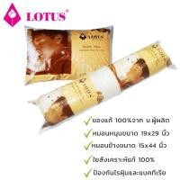 ราคา LOTUS ชุดแพ็คคู่ หมอนหนุน+หมอนข้าง ใยสังเคราะห์พิเศษ (ของแท้ 100%) (1747500181)