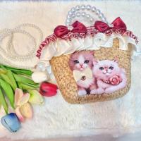 ราคา กระเป๋าสานงานแฮนด์เมดผักตบชวาเกรดพรีเมี่ยมขนาด8นิ้ว (19011629529)