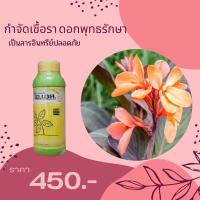 ราคา ดอกพุทธรักษา จุดเหลือง กำจัดโรคดอกพุทธรักษา จากเชื้อราต่างๆ ปลอดสารพิษ ไอเอส และ FK-T(ใช้ได้ทุกพืช)โดย FK (18351978054)