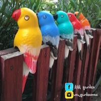 ราคา นกเกาะกระถาง แต่งสวน (3553340477)