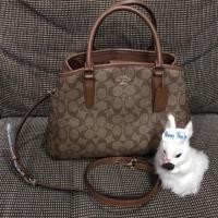 ราคา ด่วนNew Coach F58310 (264119052)