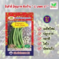 ราคา เมล็ดพันธุ์ ถั่วแขกขาว ตราภูเขาทอง ผักซอง ผักสวนครัว ป. เกษตร 67 (12972725989)