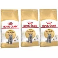 ราคา Royal Canin British Shorthair Adult [400g x3] รอยัล คานิน อาหารแมวโต พันธุ์บริติช ช็อตแฮร์ (1141104622)