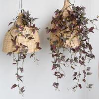 ราคา [พร้อมส่ง] ต้นไม้เลื้อย ต้นไม้ประดับ ต้นไม้ประดิษฐ์สำหรับตกแต่งบ้าน ตกแต่งห้อง สไตล์มินิมอล (18962146484)