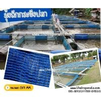ราคา มุ้งถักโรงเรือน มุ้งถักกระชังปลา เลี้ยงปลา เลี้ยงกุ้ง มุ้งล้อมกรงไก่ มุ้งล้อมฟาร์ม มุ้งกันแมลง มุ้งเลี้ยงสัตว์ พร้อมส่ง (10198984207)