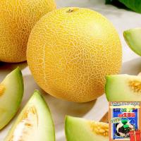 ราคา （เมล็ด）เมล่อนสีทองถูกที่สุด10บ.การเมล่อนสีทอง 5เมล็ดนำเข้าจากเนเธอร์แลนด์☘️/งอก ปลูก/งอก การ (22939357172)