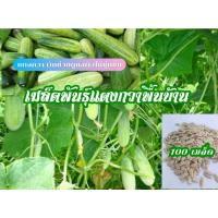 ราคา เมล็ดพันธุ์แตงกวาพื้นบ้าน ชุดละ100เมล็ด (20153057985)