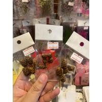 ราคา ดอกกระถินทุ่ง 10 บาท (18975527335)