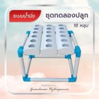 ราคา ชุดทดลองปลูกผักไฮโดรโปนิกส์แบบน้ำนิ่ง 18 หลุม (ปลูกได้ทั้งผักไทยและผักสลัด) (17609473094)