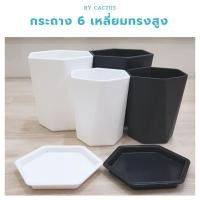 ราคา กระถาง 6 เหลี่ยม / กระถางกลม 3 ขา ปลูก ต้นไม้ แคดตัส ทรงสวย (4335004820)