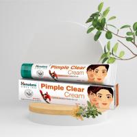 ราคา ครีมแต้มสิว 20g Himalaya Pimple Clear Cream (20317159425)