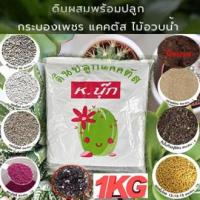 ราคา ดินปลูกกระบองเพชร ผสมสำเร็จพร้อมปลูก (ขนาด 1 kg.) (3061101786)