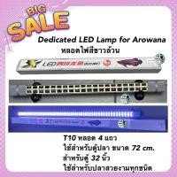 ราคา Dedicated LED Lamp for Arowana หลอดไฟสีขาวล้วน T10 หลอด 4 แถวใช้สำหรับตู้ปลา ขนาด 72 cm. สำหรับตู้ 32 นิ้ว (20839495725)