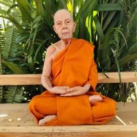 ราคา หลวงปู่ทิม พระครูภาวนาภิรัต (ทิม อิสริโก)วัดระห่านไร้ เนื้อเรซินไฟเบอร์ ขนาดหน้าตัก 5 นิ้ว สูง 17 ซม.องค์ท่านเเต่งผ้าจีว (19178531743)