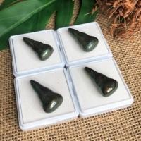 ราคา เหล็กไหลเนื้อเมฆสิทธิ์ เมฆพัตร สัณฐานทรงพระ (5216738456)