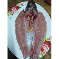 ราคา ปลาทูแขก ปลาช่อนแดดเดียวน้ำพริกกุ้งสด (4780280548)