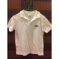 ราคา LACOSTE - Polo shirt (เสื้อเด็ก) (5014038686)