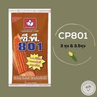 ราคา เมล็ดพันธุ์ข้าวโพดเลี้ยงสัตว์ ซีพี801 CP 10kg. ขนาด 3หุน & 3.5หุน ฝักใหญ่ ยืนต้น ทนแล้งดี ใช้รถเก็บเกี่ยวได้ ปลูกถี่ได้ (8819838636)