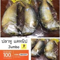 ราคา ปลาทู แคทนิป catnip JUMBO 12 นิ้ว ของเล่นแมว (1321154386)