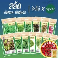 ราคา เมล็ดอวบอ้วนเมล็ดผัก เมล็ดผักสลัด นำเข้า คัดสรรสายพันธุ์ 11 ชนิด กรีนโอ๊ค กรีนคอส เรดโอ๊ค เรดคอส l เจียไต๋ เมล็ดพันธุ์ผ (21473335841)