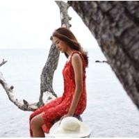 ราคา P130 C5 เดรส ป้าย widelia@real size S used 32-28-36 (1160204156)