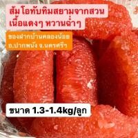 ราคา [1.3-1.4 kg/ลูก] ส้มโอทับทิมสยาม (ปากพนัง) สีแดงสด หวานฉ่ำๆ เกรด AAA จากแหล่งที่อร่อยที่สุดในประเทศ อ.ปากพนัง จ.นครศรีฯ (9791271831)