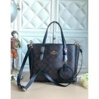 ราคา กระเป๋าcoach tote bag (14303299144)