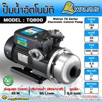 ราคา WALRUS ปั๊มน้ำอัตโนมัติ รุ่น TQ800B กำลัง 750วัตต์ ท่อออก 1x1"นิ้ว สูงสุด 35 ม.ปริมานน้ำ 95L/นาที ปั๊มน้ำ ปั๊มบ้าน (21791305363)