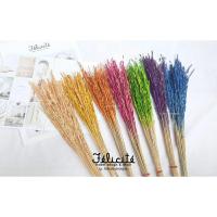 ราคา รวงข้าวแห้ง (ของจริง) พร้อมส่ง (2451882733)