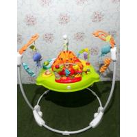 ราคา Fisher Price Pink Petals Jumperoo (1908528409)