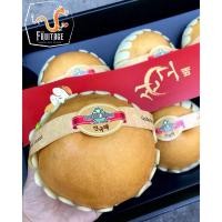 ราคา สาลี่หิมะ สาลี่เกาหลี (3ลูก/ไซส์3XL) (CHN) ~ลดพิเศษ~ Korean Pears หอม หวาน อร่อย ! ผลไม้ต่างประเทศ ผลไม้นำเข้า ผลไม้สด (9556230212)