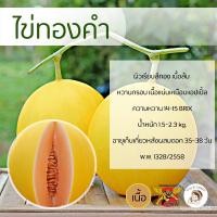ราคา จุดประเทศไทย ❤เมล็ดเมล่อนพันธุ์ไข่ทองคำ 100 เมล็ด ตราพยัคฆ์ติดปีก เมล็ดอวบอ้วน เมล็ดเมล่อน เมล่อนเนื้อส้ม เมล่อนเมล็ดอวบ (21952621838)