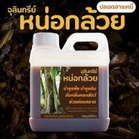 ราคา จุลินทรีย์หน่อกล้วย ขนาด 1 ลิตร สูตรเข้มข้น บำรุงพืชผักทุกชนิดเป็นฮอร์โมนในตัวรวมทั้งจุลินทรีย์หลายชนิดที่พืชต้องการ (4056195442)